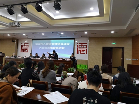 2019年3月29日我公司首席法律顾问王国庆参加芜湖市心理咨询师协会会议 (5)