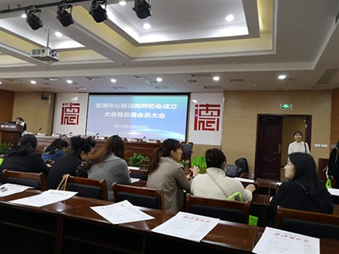 2019年3月29日我公司首席法律顾问王国庆参加芜湖市心理咨询师协会会议 (6)