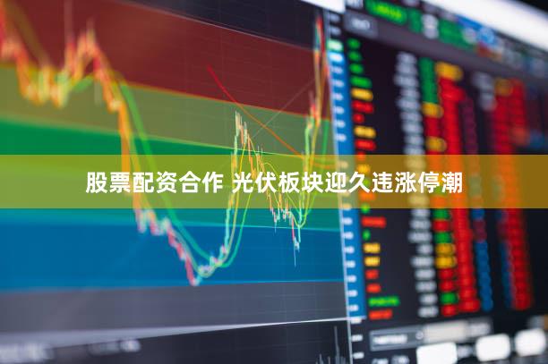 股票配资合作 光伏板块迎久违涨停潮