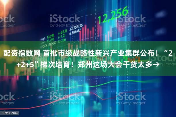 配资指数网 首批市级战略性新兴产业集群公布！“2+2+5”梯次培育！郑州这场大会干货太多→