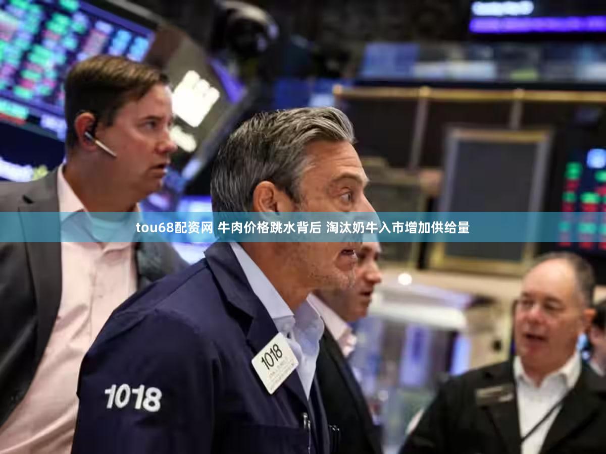 tou68配资网 牛肉价格跳水背后 淘汰奶牛入市增加供给量