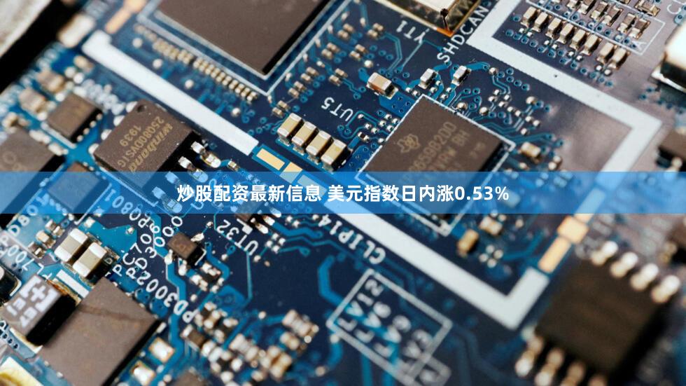 炒股配资最新信息 美元指数日内涨0.53%
