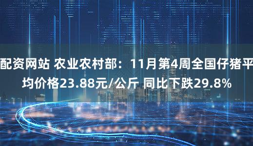 配资网站 农业农村部:11月第4周全国仔猪平均价格23.88元/公斤 同比下跌29.8%