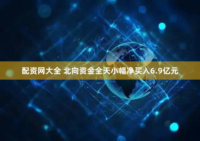 配资网大全 北向资金全天小幅净买入6.9亿元