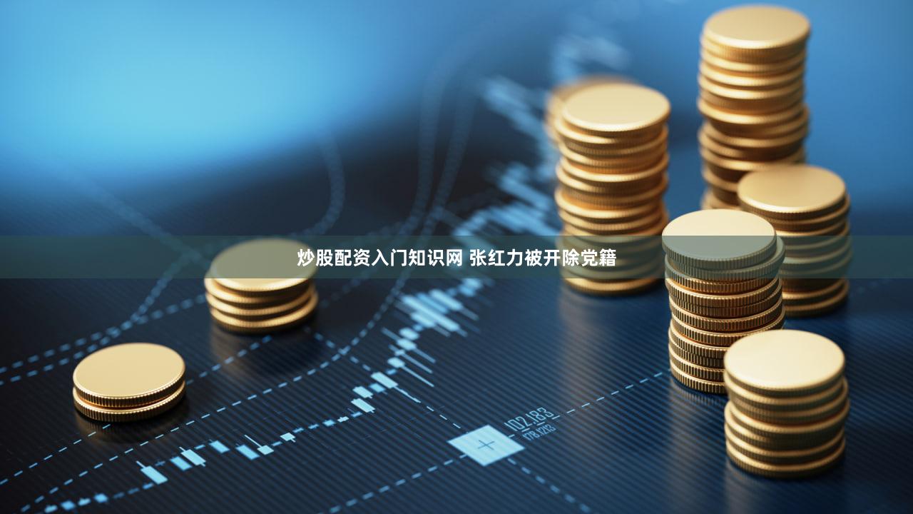 炒股配资入门知识网 张红力被开除党籍