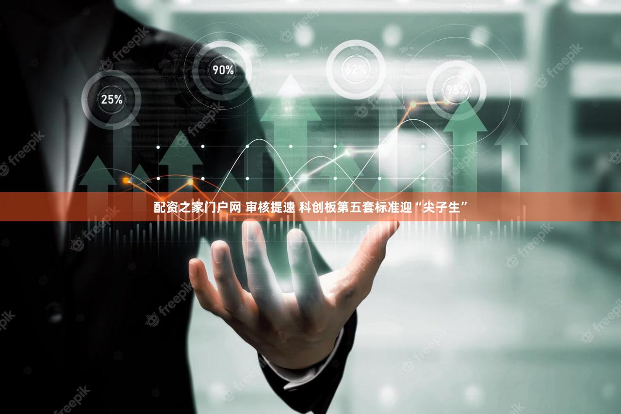 配资之家门户网 审核提速 科创板第五套标准迎“尖子生”