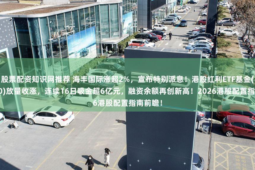 股票配资知识网推荐 海丰国际涨超2%，宣布特别派息！港股红利ETF基金(513820)放量收涨，连续16日吸金超6亿元，融资余额再创新高！2026港股配置指南前瞻！