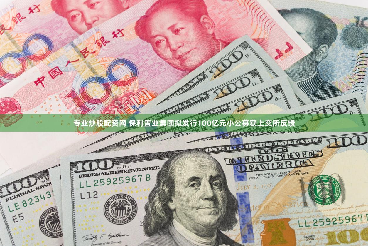 专业炒股配资网 保利置业集团拟发行100亿元小公募获上交所反馈