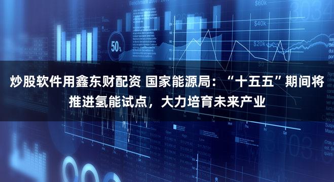 炒股软件用鑫东财配资 国家能源局：“十五五”期间将推进氢能试点，大力培育未来产业