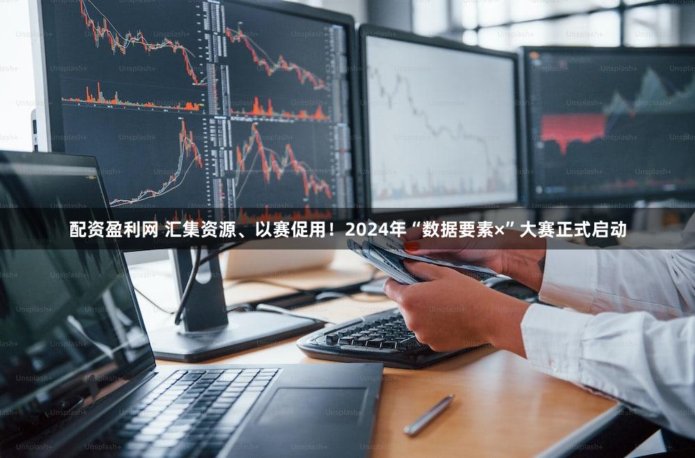 配资盈利网 汇集资源、以赛促用！2024年“数据要素×”大赛正式启动