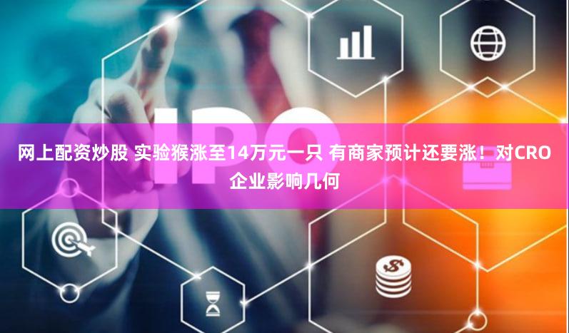 网上配资炒股 实验猴涨至14万元一只 有商家预计还要涨！对CRO企业影响几何