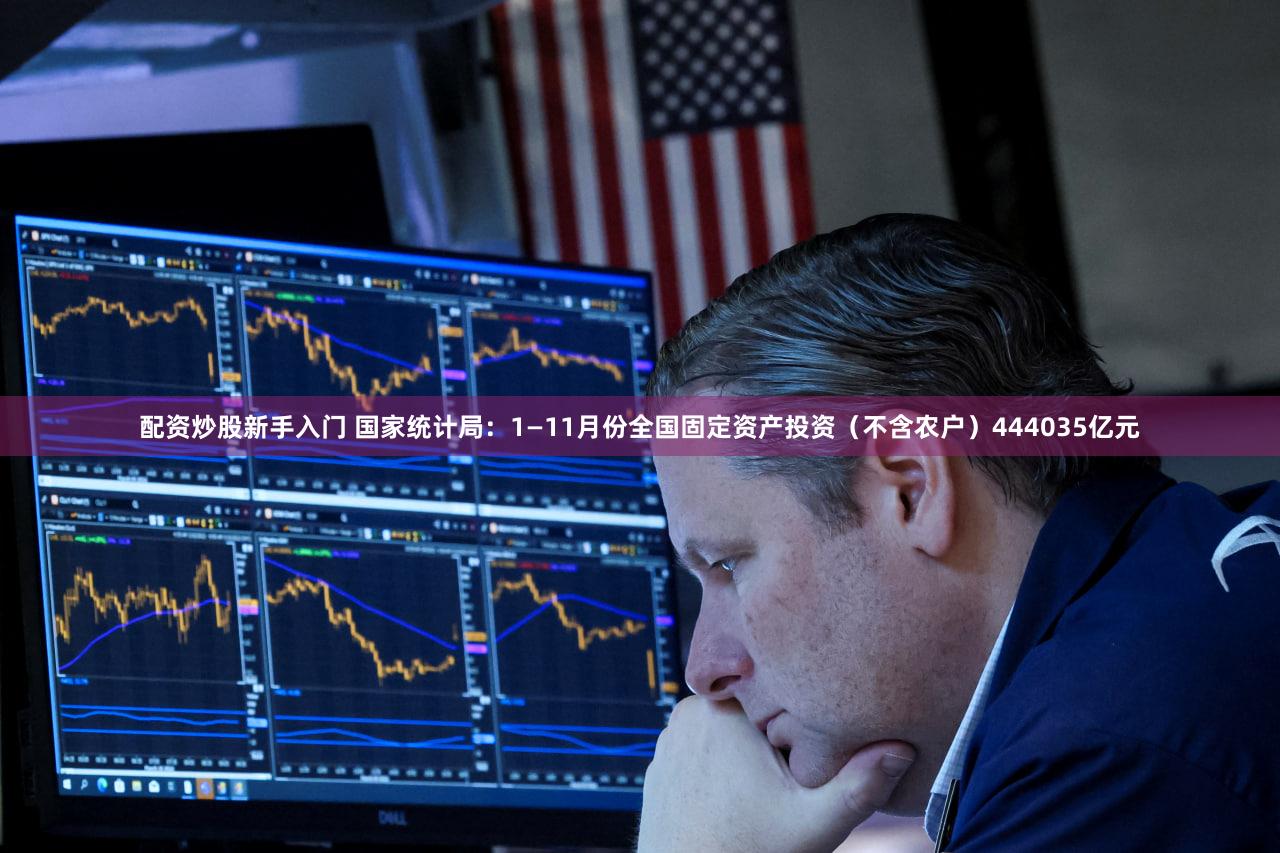 配资炒股新手入门 国家统计局：1—11月份全国固定资产投资（不含农户）444035亿元