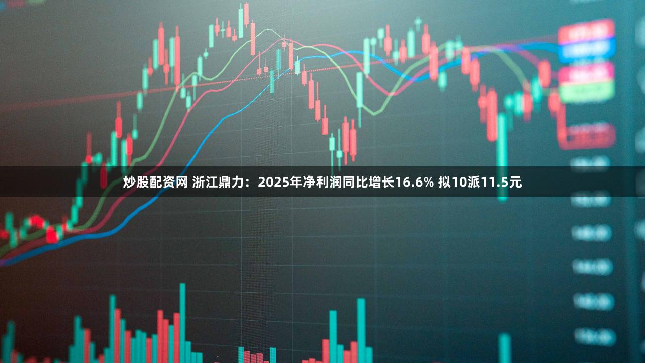 炒股配资网 浙江鼎力：2025年净利润同比增长16.6% 拟10派11.5元