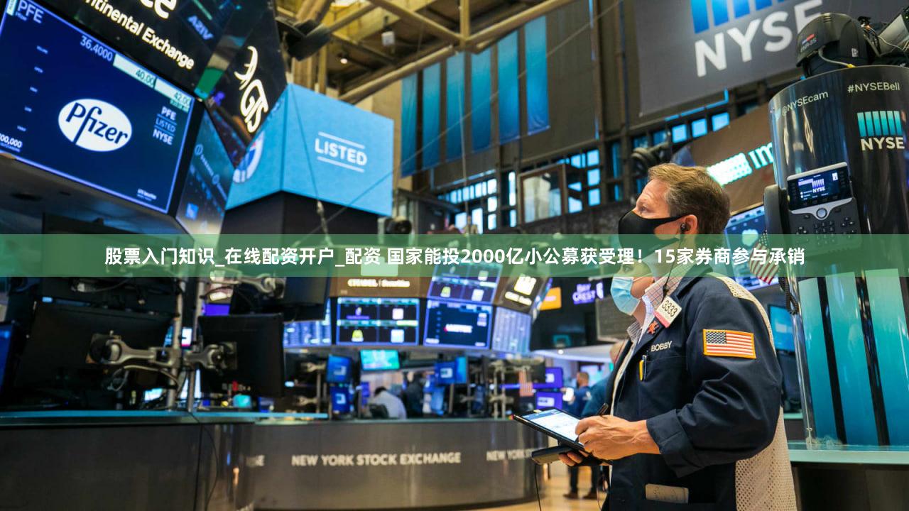 股票入门知识_在线配资开户_配资 国家能投2000亿小公募获受理！15家券商参与承销