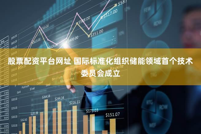 股票配资平台网址 国际标准化组织储能领域首个技术委员会成立