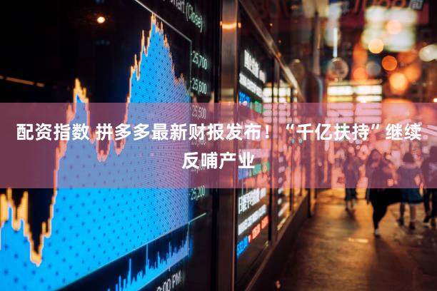 配资指数 拼多多最新财报发布！“千亿扶持”继续反哺产业